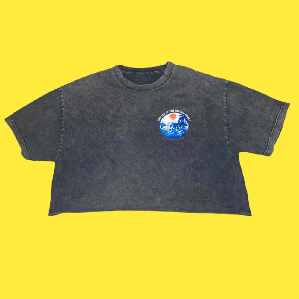 charcoal cropped brandy melville t shirt